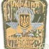 UKRAINE Army High Mobility Air Assault Forces generic patch, camo, 2012-2017