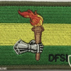 Australia - Army - Defense Force School of Intelligence Patch img59113