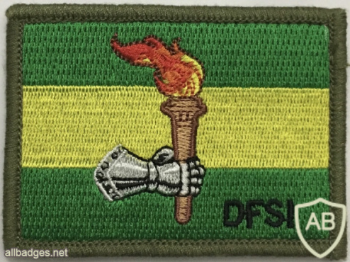 Australia - Army - Defense Force School of Intelligence Patch img59113