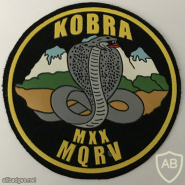 Uzbekistan National Security Service (MXX) Special Unit Cobra Patch img59086