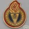 Guide badge img59080