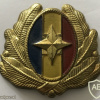 Romanian Intelligence Service Officer Cap Badge