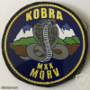 Uzbekistan National Security Service (MXX) Special Unit Cobra Patch