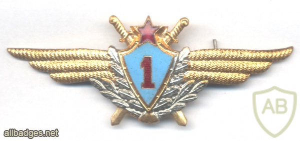 SOVIET UNION Air Force Pilot 1st Class wing badge, 1966-1990 img59182