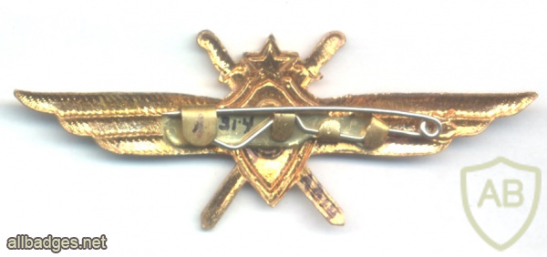 SOVIET UNION Air Force Pilot 3rd Class wing badge, 1966-1990 img59181