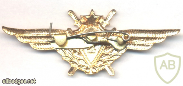 SOVIET UNION Air Force Pilot 1st Class wing badge, 1966-1990 img59183