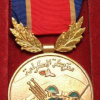 Jordan The Battle of Karama Medal img59262