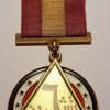 Iraq Medal for the 1973 War with Israel