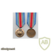 United Nations UNSMIS Syria Medal img59292