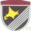 JAPAN Ground Self-Defense Force (JGSDF) - 5th Division (Infantry), Engineer units sleeve patch img59503