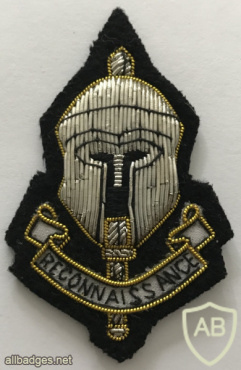 Special Reconnaissance Regiment beret badge (small pommel) img59543