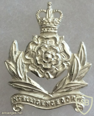 UK Army Intelligence Corps Officer Collar badge (Queen's Crown) img59560