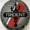 USCG TRIDENT Intelligence and Signals Patch img59617