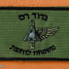 668th Ram battalion