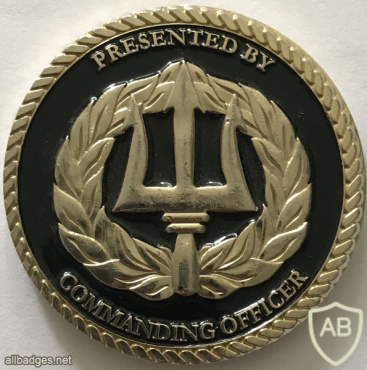 US Navy 10th Fleet Information Operations Command - Commander's Coin img59722