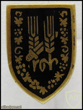 10th Harel Brigade img59848