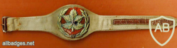 דרגת יד רב סמל "שעון"  1948- 1951 img59914