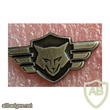 Unidentified badge- 19 img60023