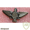 Unidentified badge- 26 img60022