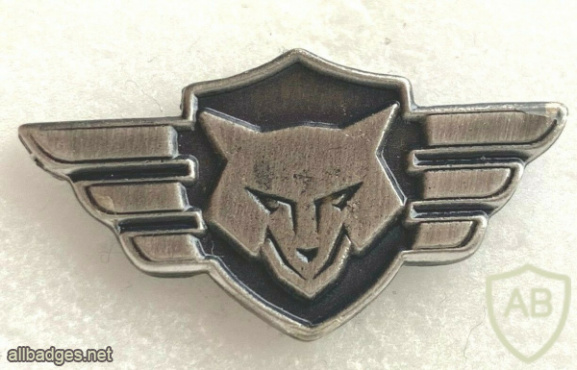 Unidentified badge- 19 img60025
