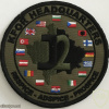 NATO - KFOR Headquarters J2 Intelligence Patch (16 Nations)