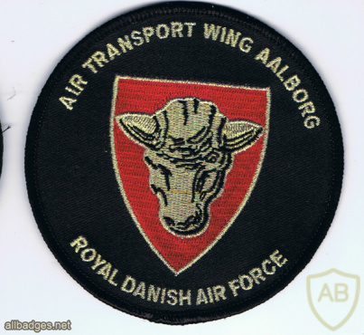RDAF Air Transport wing Aalborg img60115