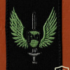 חטיבת החילוץ גדוד קדם- 489 פלוגת מגן