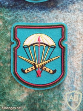 54th Separate Air-Assault battalion 31st Airborne Brigade img60593