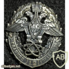 Russia Ministry of Defense 12th Main Department badge