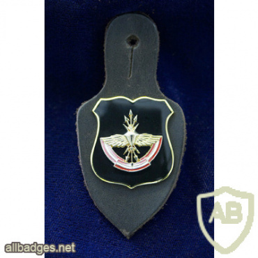 Russia Ministry of Defense General Staff 1st Communication Node Rubin pocket badge img60764