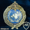 Russia Ministry of Defense General UN Observer badge