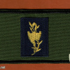 חטיבת קרייתי - חטיבה- 4, חטיבה- 602 img60904