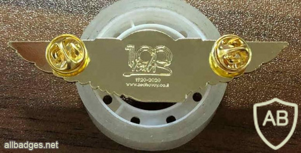 CAL pilot wings img61081