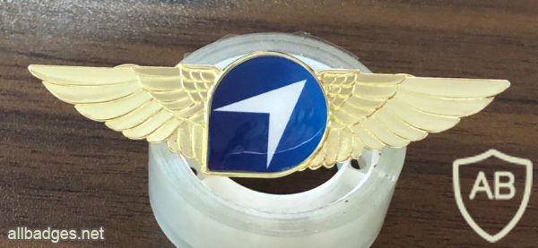 CAL pilot wings img61080