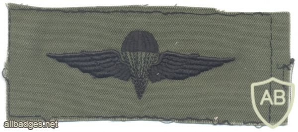 EGYPT Parachutist wings, cloth img61178