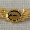 Aeroel pilot wings img61205