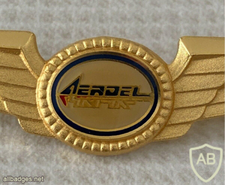 Aeroel pilot wings img61206