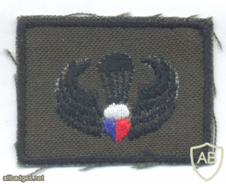 PHILIPPINES Army Parachutist jump wings, subdued, Basic img61211