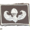 PHILIPPINES Army Parachutist jump wings, white on green, Basic