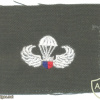 PHILIPPINES Army Parachutist jump wings, cloth, Basic