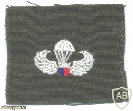 PHILIPPINES Army Parachutist jump wings, cloth, Basic img61215