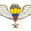 ECUADOR Air Force parachute qualification wings