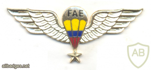 ECUADOR Air Force parachute qualification wings img61218