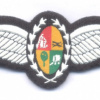 SOUTH AFRICA SADF Air Force Pilot wings, 1980s, thermal embossed