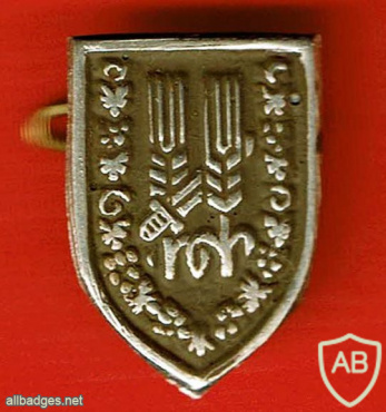 10th Harel Brigade img61227