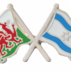 דגל ישראל ודגל וויילס img61444