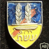 9th "Eshet" Armor Battalion img61530