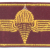 Iraq paratrooper wings img61542