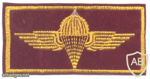 Iraq paratrooper wings img61542