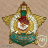 Raichikhinsky Border Detachment badge